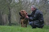 ADULTE ET CHIEN 455